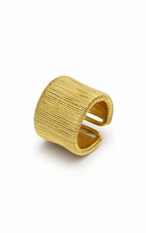 Anello fascia microfilo